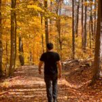 ‘걷기’가 바꾸는 나의 하루—트렌디하게 실천하는 일상 속 건강 습관 a man walking down a path in the woods