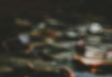 “마음도 꾸준히 돌본다”…정신건강 챙기는 일상 루틴 확산 pink and white lotus flower